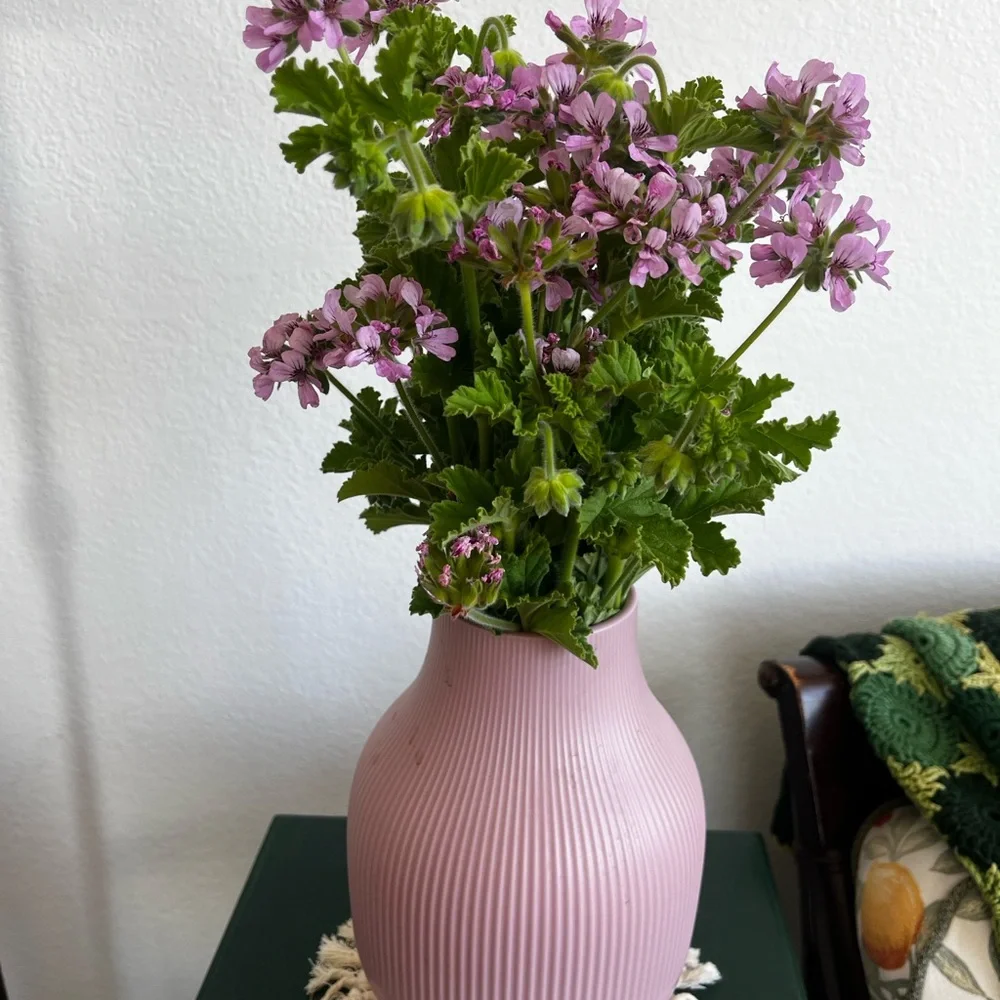 Rose Geranium Hydrosol Spray - Sonoma Coast Botanicals - Aromatherapy Mist